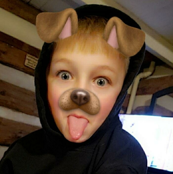 Bird - Picture 1 of 1